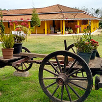 Clínica de Recuperação em Aricanduva